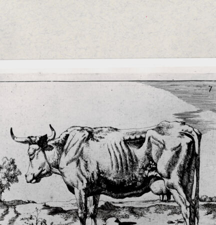 Rückseite von  [http://creativecommons.org/publicdomain/mark/1.0/] ... - , bh285263. Foto.