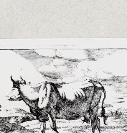 Rückseite von  [http://creativecommons.org/publicdomain/mark/1.0/] ... - , bh285266. Foto.