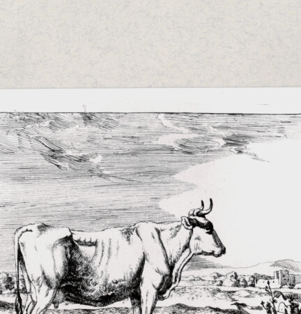 Rückseite von  [http://creativecommons.org/publicdomain/mark/1.0/] ... - , bh285268. Foto.