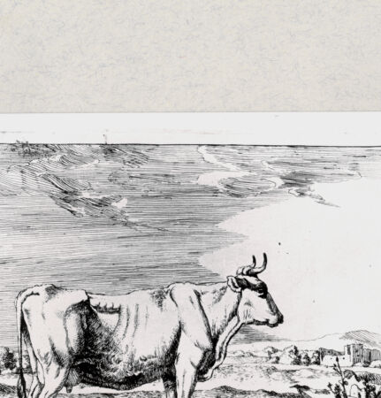 Rückseite von  [http://creativecommons.org/publicdomain/mark/1.0/] ... - , bh285269. Foto.