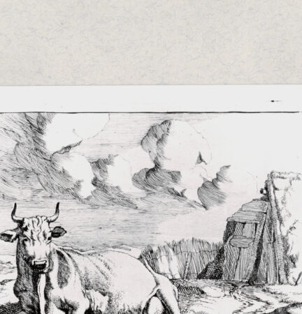 Rückseite von  [http://creativecommons.org/publicdomain/mark/1.0/] ... - , bh285270. Foto.