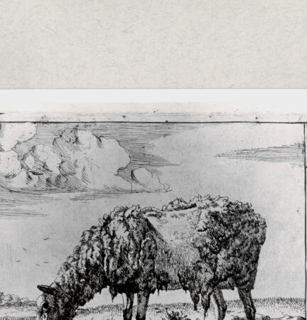 Rückseite von  [http://creativecommons.org/publicdomain/mark/1.0/] ... - , bh285275. Foto.