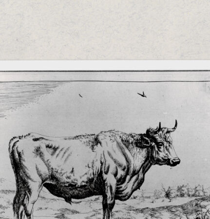 Rückseite von  [http://creativecommons.org/publicdomain/mark/1.0/] ... - , bh285276. Foto.