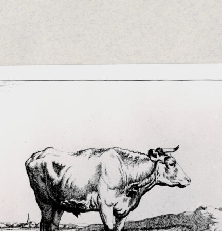 Rückseite von  [http://creativecommons.org/publicdomain/mark/1.0/] ... - , bh285280. Foto.