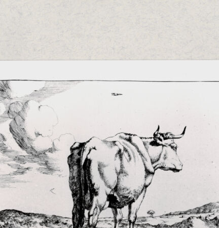 Rückseite von  [http://creativecommons.org/publicdomain/mark/1.0/] ... - , bh285281. Foto.