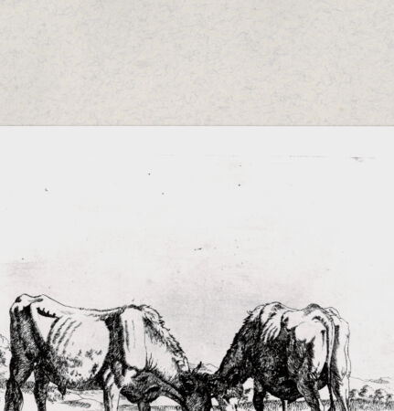 Rückseite von  [http://creativecommons.org/publicdomain/mark/1.0/] ... - , bh285282. Foto.