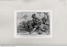 Thumbnail für 66-B-I-p-339-344