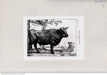 Thumbnail für POTTER-PAULUS