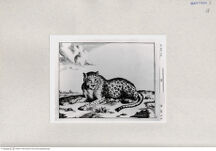 Thumbnail für 18-B-I-p-83-85