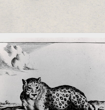 Rückseite von  [http://creativecommons.org/publicdomain/mark/1.0/] ... - , bh285411. Foto.