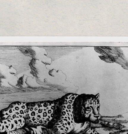 Rückseite von  [http://creativecommons.org/publicdomain/mark/1.0/] ... - , bh285412. Foto.