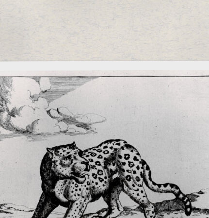 Rückseite von  [http://creativecommons.org/publicdomain/mark/1.0/] ... - , bh285413. Foto.