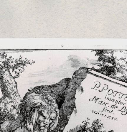 Rückseite von  [http://creativecommons.org/publicdomain/mark/1.0/] ... - , bh285414. Foto.