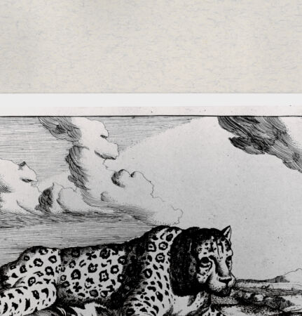 Rückseite von  [http://creativecommons.org/publicdomain/mark/1.0/] ... - , bh285415. Foto.