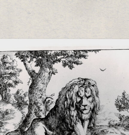 Rückseite von  [http://creativecommons.org/publicdomain/mark/1.0/] ... - , bh285417. Foto.