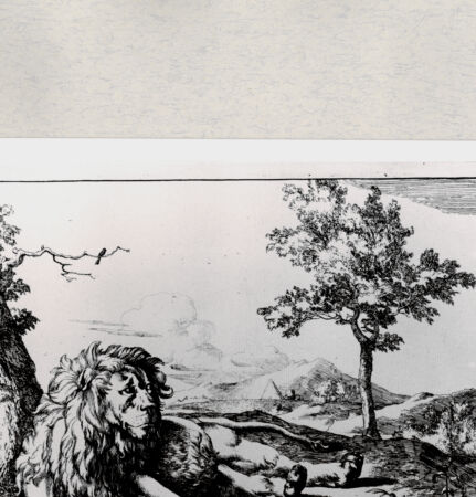 Rückseite von  [http://creativecommons.org/publicdomain/mark/1.0/] ... - , bh285418. Foto.