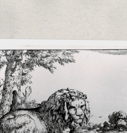 Rückseite von  [http://creativecommons.org/publicdomain/mark/1.0/] ... - , bh285419. Foto.