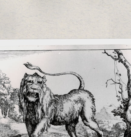 Rückseite von  [http://creativecommons.org/publicdomain/mark/1.0/] ... - , bh285421. Foto.