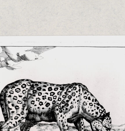 Rückseite von  [http://creativecommons.org/publicdomain/mark/1.0/] ... - , bh285441. Foto.