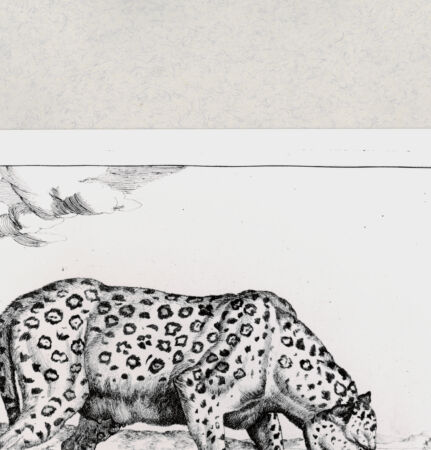 Rückseite von  [http://creativecommons.org/publicdomain/mark/1.0/] ... - , bh285443. Foto.