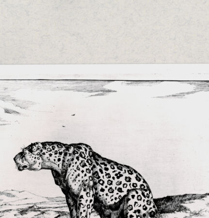 Rückseite von  [http://creativecommons.org/publicdomain/mark/1.0/] ... - , bh285444. Foto.