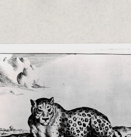 Rückseite von  [http://creativecommons.org/publicdomain/mark/1.0/] ... - , bh285445. Foto.