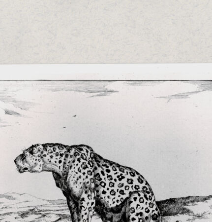 Rückseite von  [http://creativecommons.org/publicdomain/mark/1.0/] ... - , bh285446. Foto.