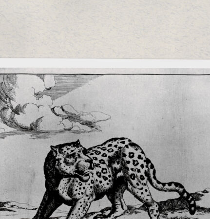 Rückseite von  [http://creativecommons.org/publicdomain/mark/1.0/] ... - , bh285447. Foto.