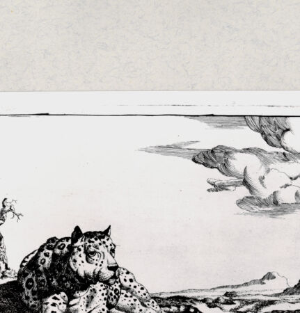 Rückseite von  [http://creativecommons.org/publicdomain/mark/1.0/] ... - , bh285449. Foto.