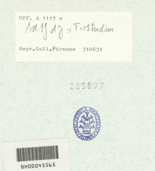 Rückseite von bh285897_recto