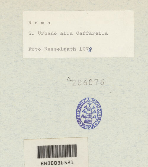 Rückseite von Nesselrath, Arnold [https://www.deutsche-digitale-bibliothek.de/content/lizenzen/rv-ez/] Sant'Urbano alla Caffarella - Ostseite, Detail des Gebälks und des Giebels, bh286076_recto. Foto: Nesselrath, Arnold.