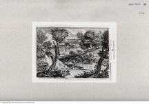 Thumbnail für 23a-zu-B-IV-und-Kabel-Adrian-van-der