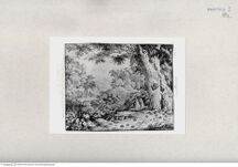 Thumbnail für 40a-zu-B-I-undescribed