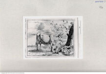 Thumbnail für 22a-zu-B-I-undescribed