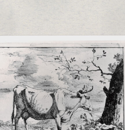 Rückseite von  [http://creativecommons.org/publicdomain/mark/1.0/] ... - , bh286746. Foto.