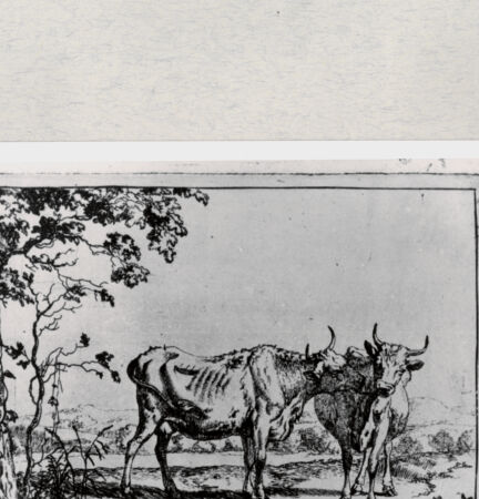 Rückseite von  [http://creativecommons.org/publicdomain/mark/1.0/] ... - , bh286748. Foto.