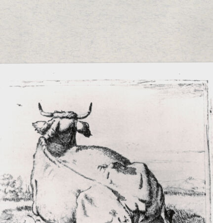 Rückseite von  [http://creativecommons.org/publicdomain/mark/1.0/] ... - , bh286749. Foto.