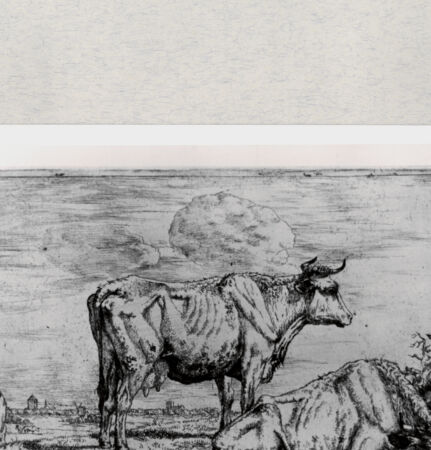 Rückseite von  [http://creativecommons.org/publicdomain/mark/1.0/] ... - , bh286750. Foto.