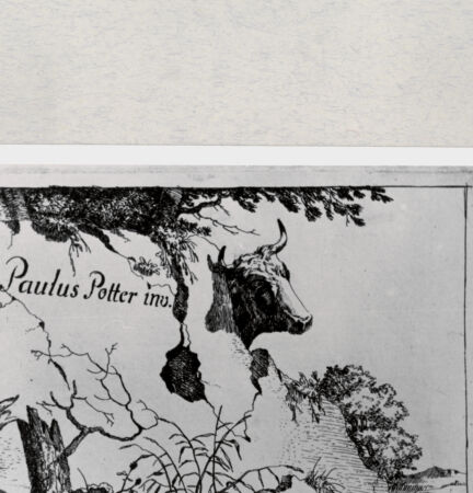 Rückseite von  [http://creativecommons.org/publicdomain/mark/1.0/] ... - , bh286751. Foto.