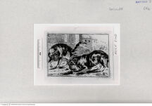 Thumbnail für 24a-zu-B-I-und