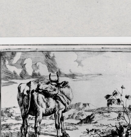 Rückseite von  [http://creativecommons.org/publicdomain/mark/1.0/] ... - , bh286855. Foto.