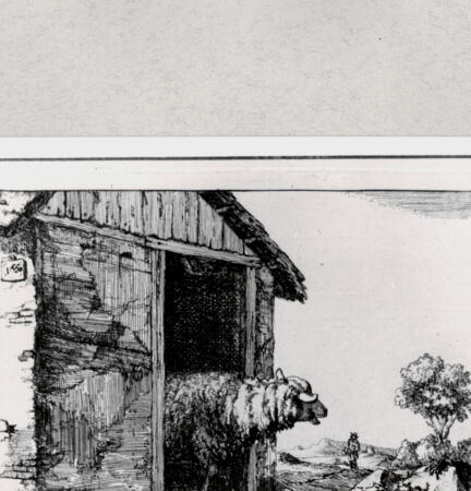 Rückseite von  [http://creativecommons.org/publicdomain/mark/1.0/] ... - , bh286856. Foto.