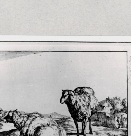 Rückseite von  [http://creativecommons.org/publicdomain/mark/1.0/] ... - , bh286857. Foto.