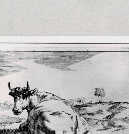 Rückseite von  [http://creativecommons.org/publicdomain/mark/1.0/] ... - , bh286859. Foto.