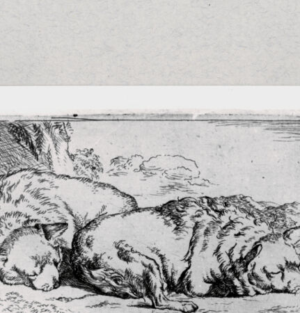 Rückseite von  [http://creativecommons.org/publicdomain/mark/1.0/] ... - , bh286860. Foto.