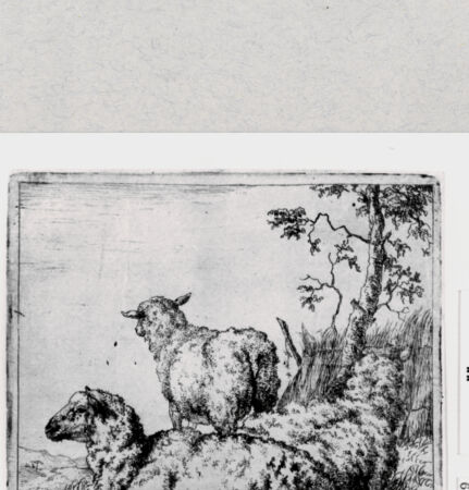 Rückseite von  [http://creativecommons.org/publicdomain/mark/1.0/] ... - , bh286861. Foto.