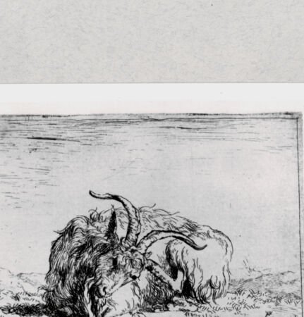 Rückseite von  [http://creativecommons.org/publicdomain/mark/1.0/] ... - , bh286863. Foto.