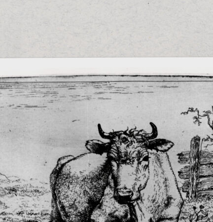 Rückseite von  [http://creativecommons.org/publicdomain/mark/1.0/] ... - , bh286864. Foto.