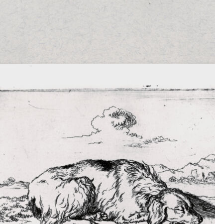 Rückseite von  [http://creativecommons.org/publicdomain/mark/1.0/] ... - , bh286866. Foto.