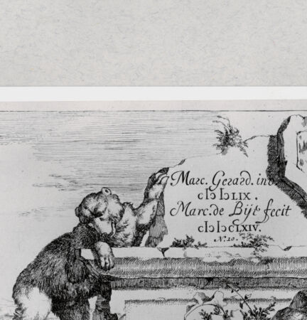 Rückseite von  [http://creativecommons.org/publicdomain/mark/1.0/] ... - , bh286867. Foto.